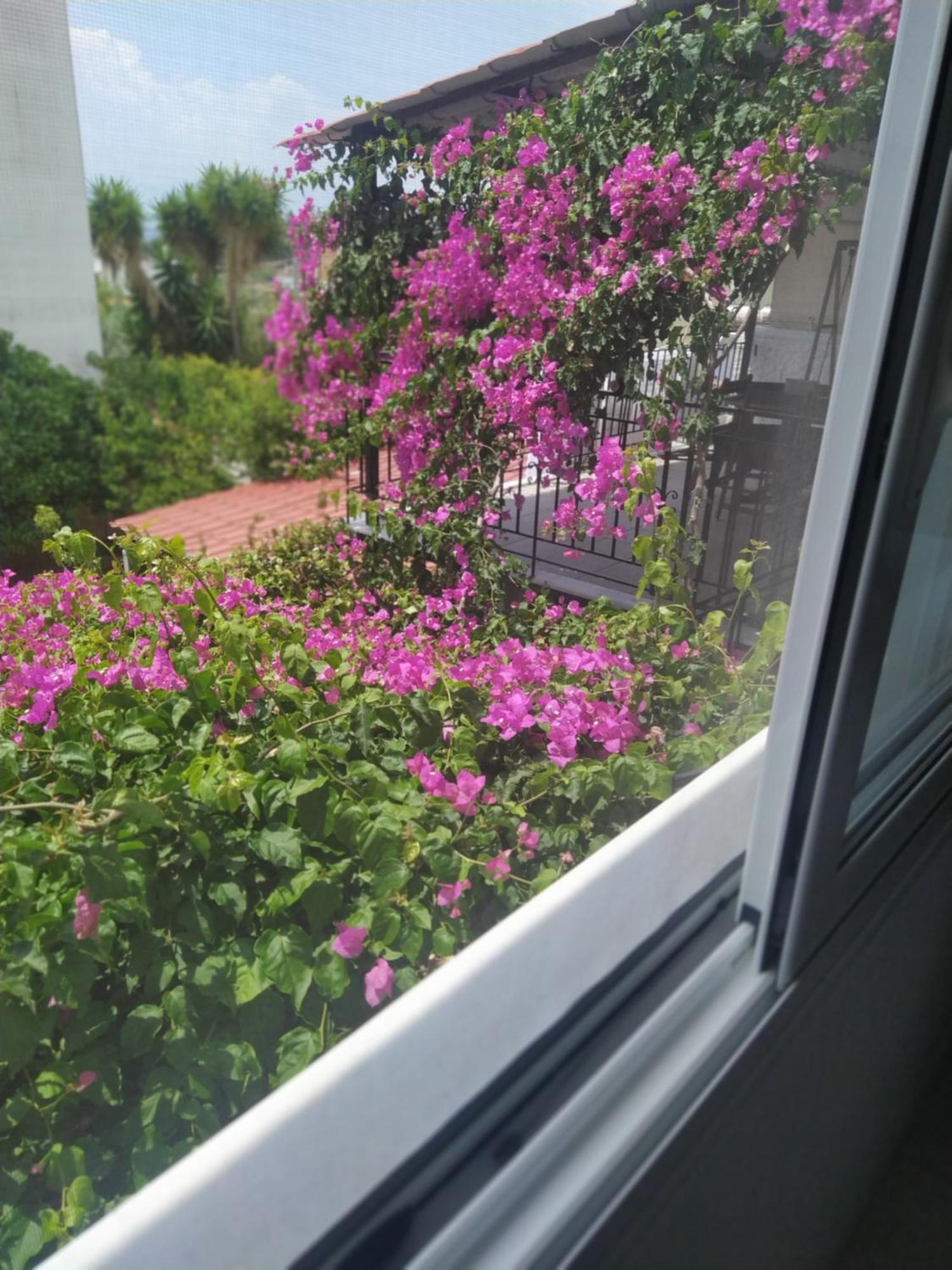 Kritharia Guesthouse Volos Exterior photo